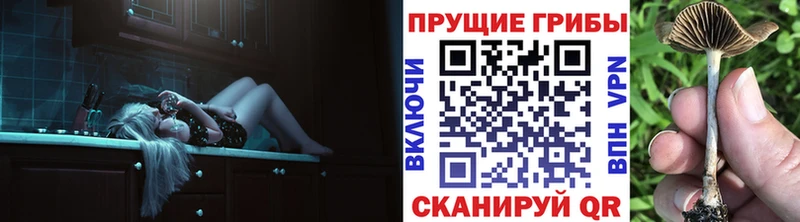 Псилоцибиновые грибы GOLDEN TEACHER Ковров