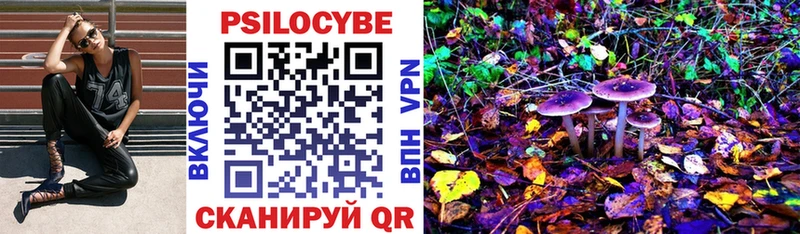 наркошоп Ковров Галлюциногенные грибы Psilocybine cubensis